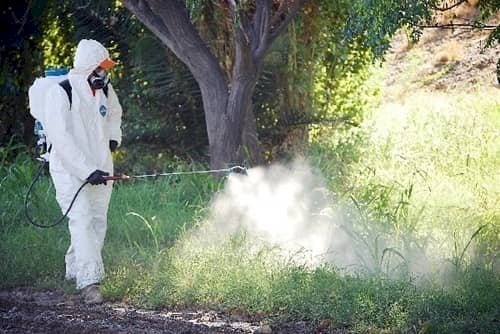 FALSOSFUMIGADORES