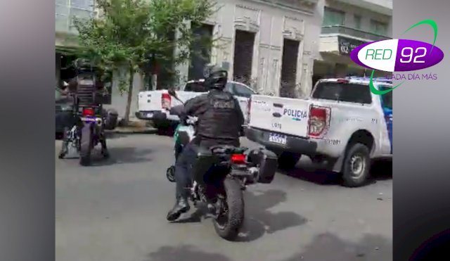 GATOS LA PLATA