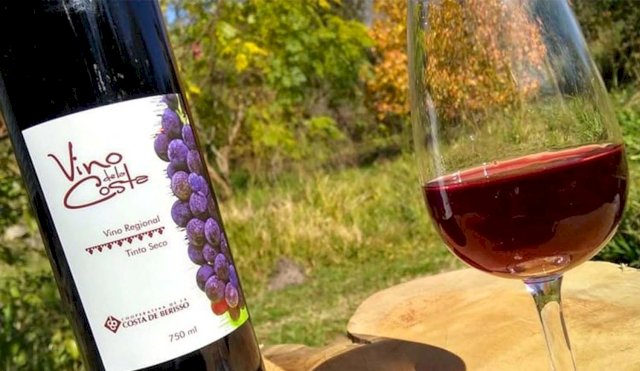FIESTADELVINO