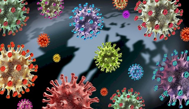 Coronavirus