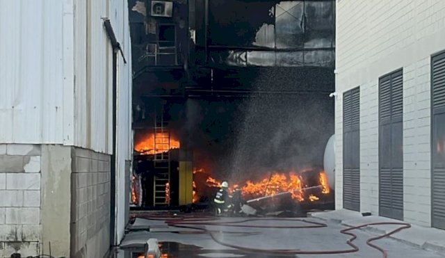 INCENDIOGORINA
