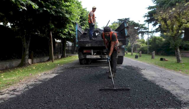 TRABAJOS BACHEOS 